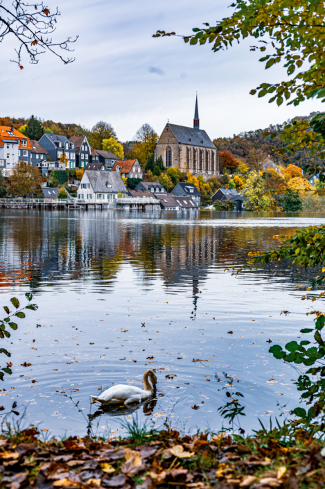 Beyenburg Schwan