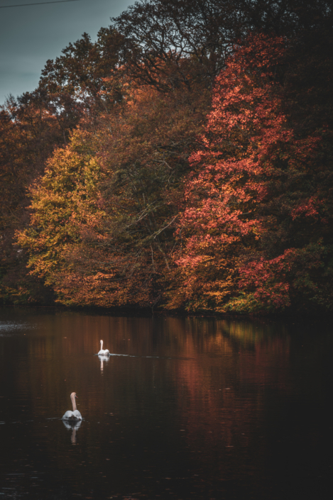 Beyenburg Herbst