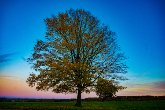 Scharpenacken Herbst